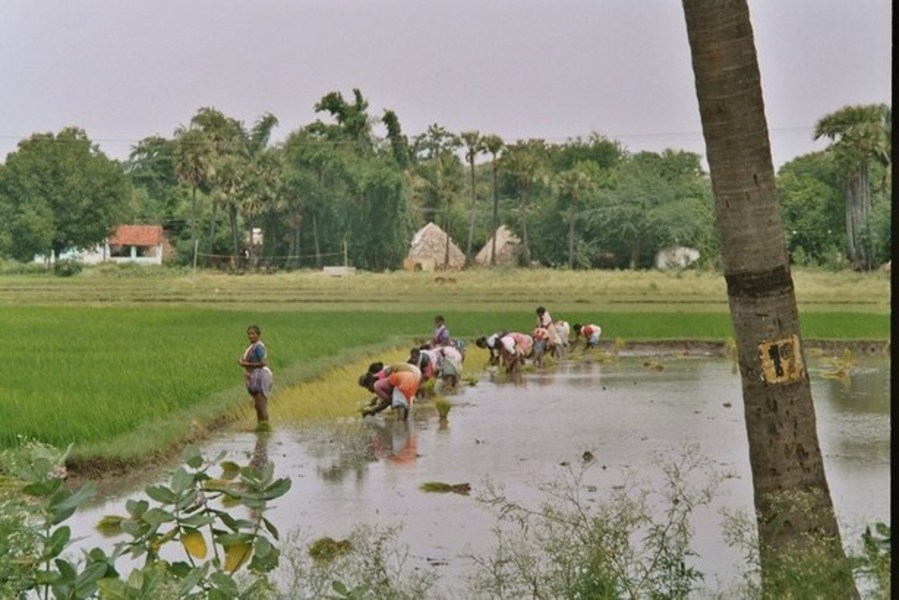 india008